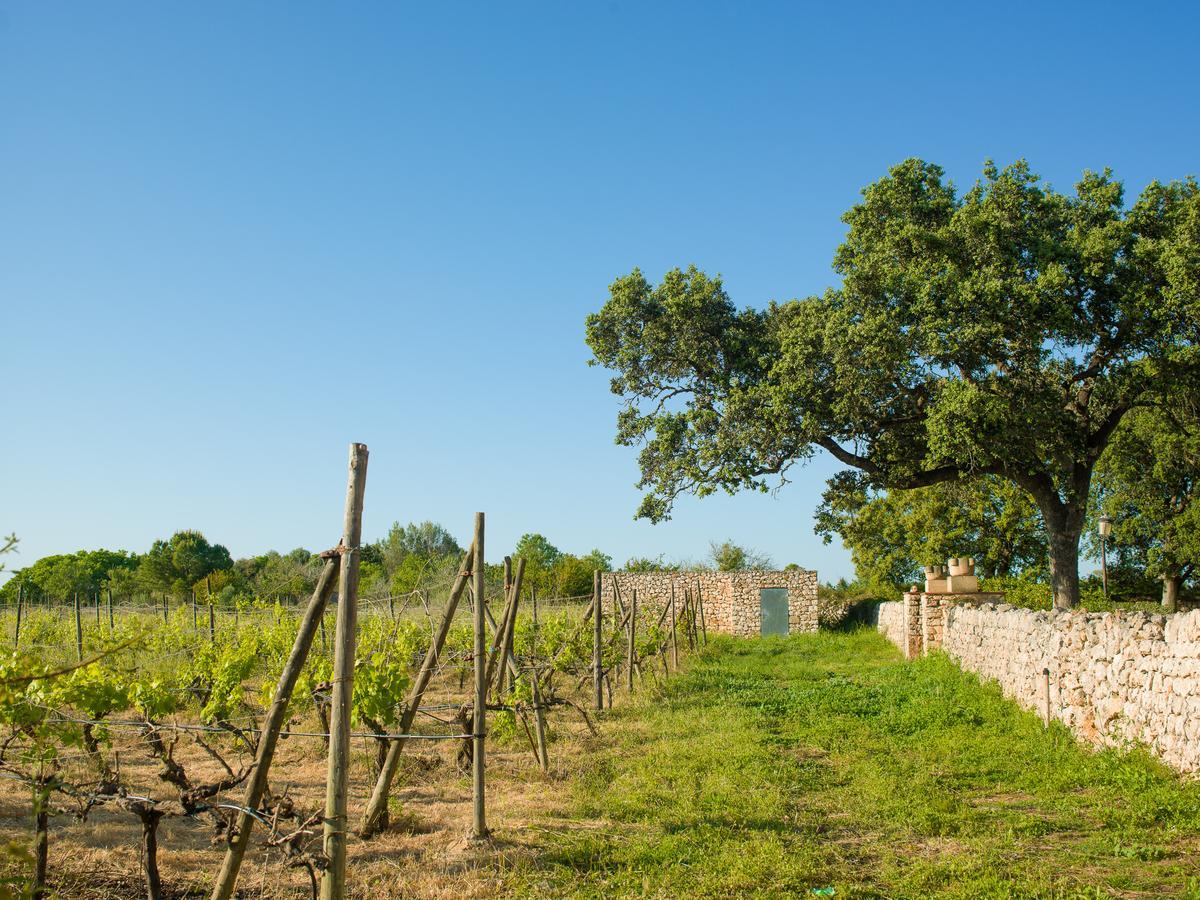 Maison d'hôtes Sa Bassa Rotja Ecoturisme à Porreres Extérieur photo